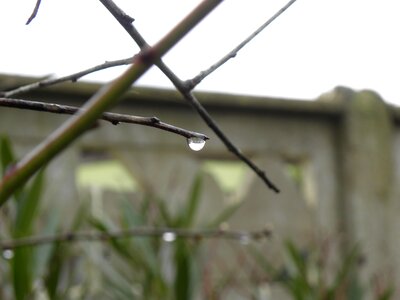 Macro approach nature