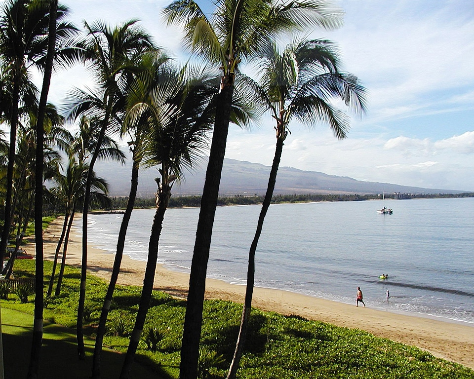 Maui hawaii ocean