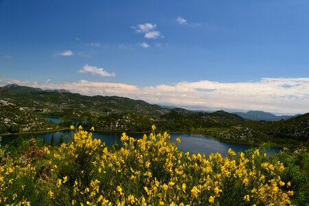 Lake view nature