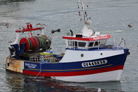 Sea brittany net