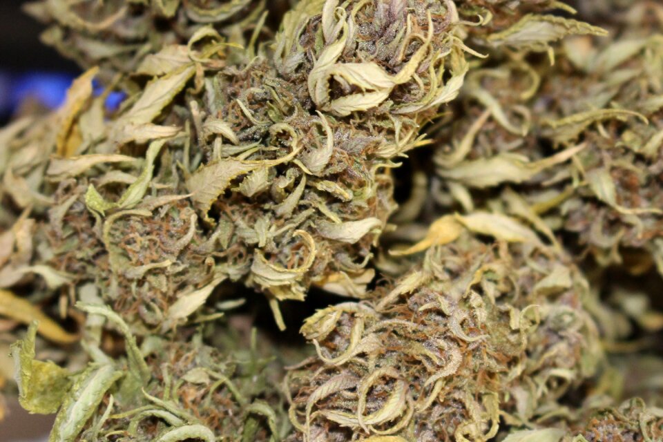 Natural medical drug