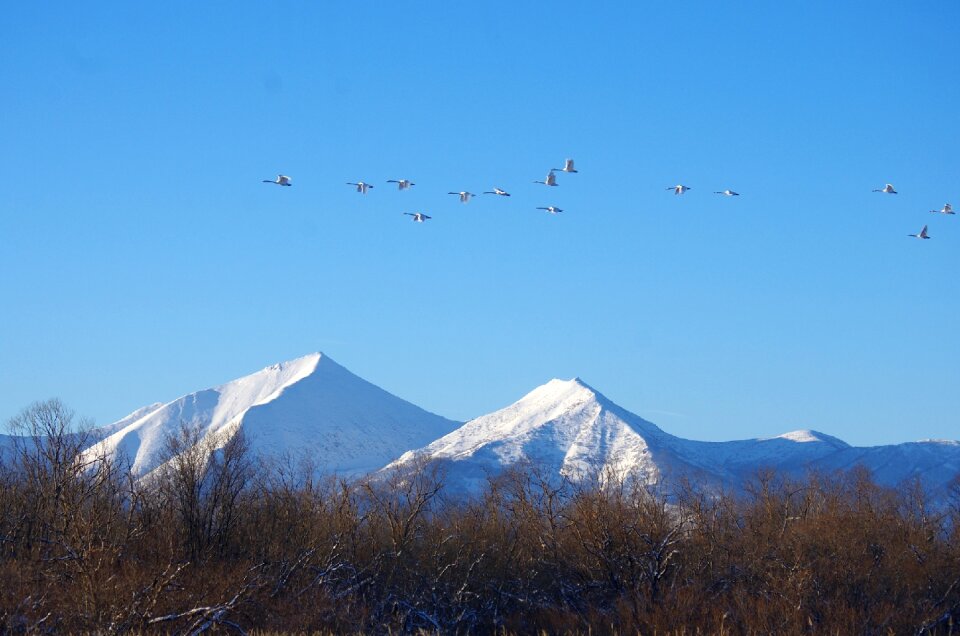 Flight height river