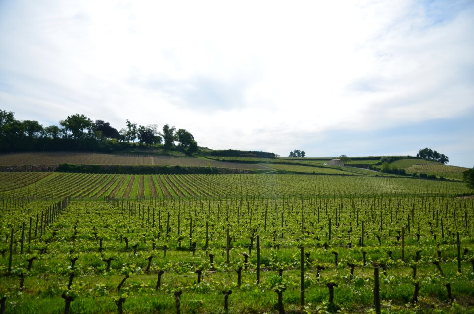 Bordeaux city saint emmilion
