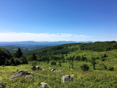 Virginia meadow photo