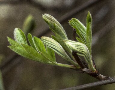Spring nature finland
