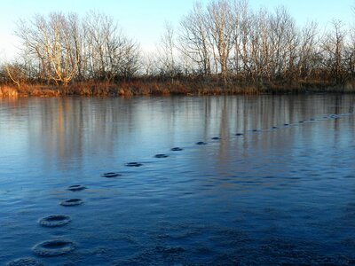 Ice late autumn cold
