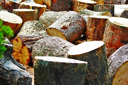 Wood chop hack firewood
