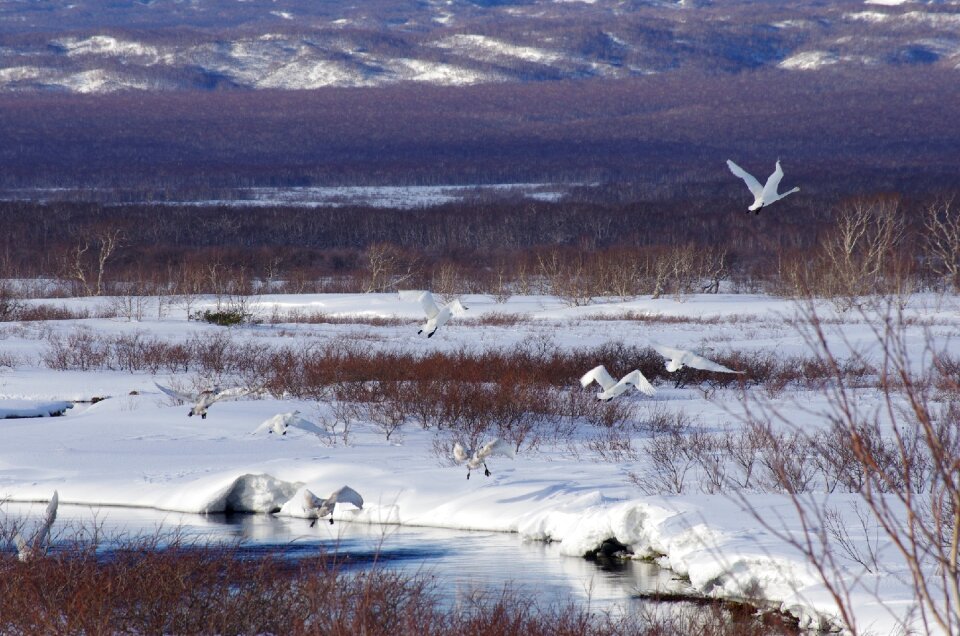 River backwater take off photo