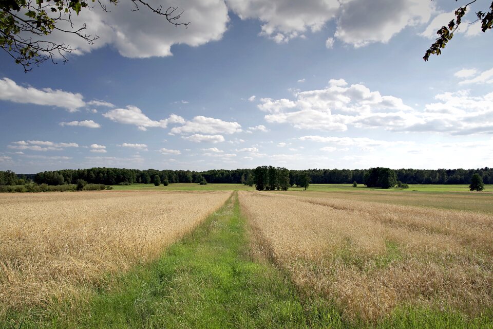 Agriculture village forest