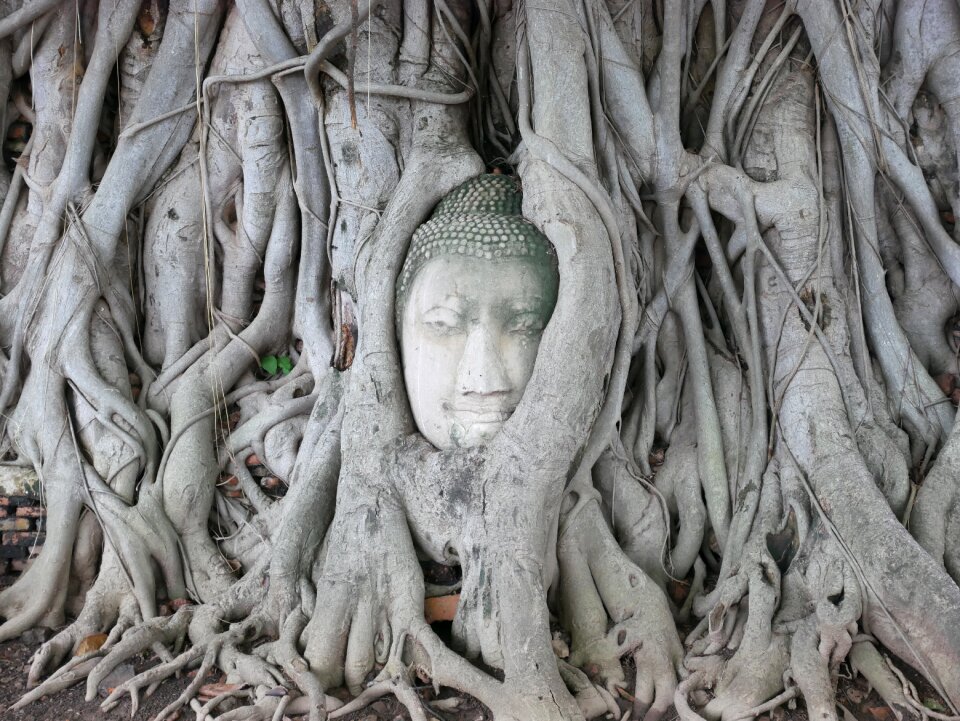 Buddha statue temple buddhist