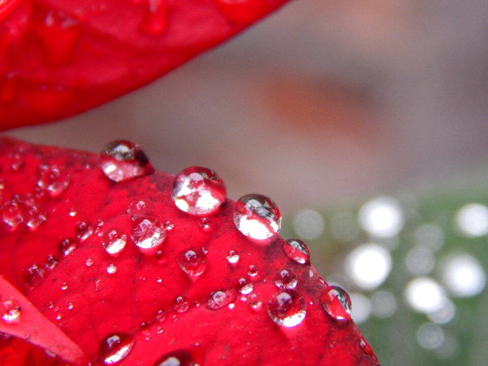 Rain drops brightness