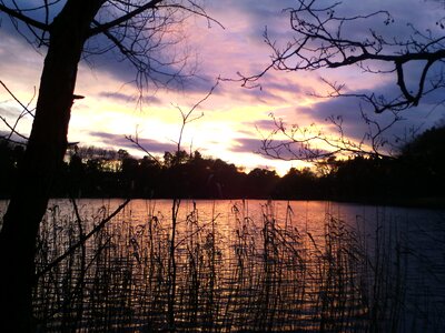 Landscape summer evening dusk photo