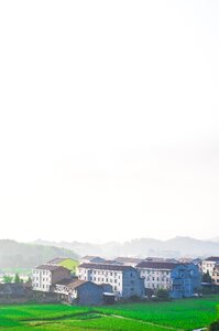 雾 清晨 绿色