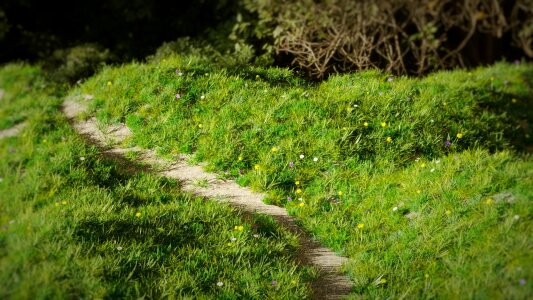 Path sunset spring season photo