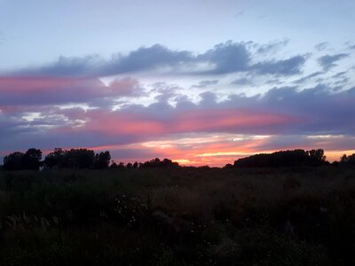 In the evening purple light