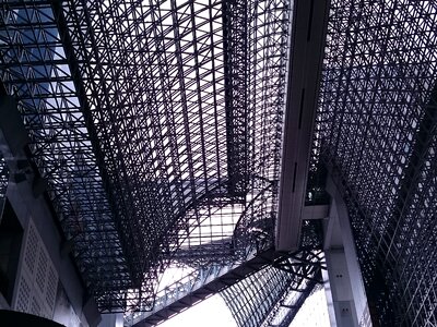 Landscape ceiling lattice