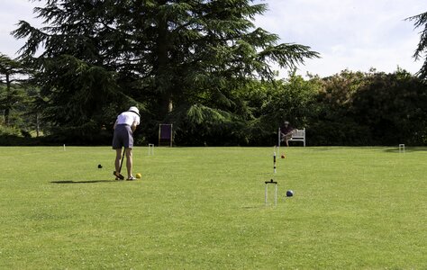 Mallet ball hoops