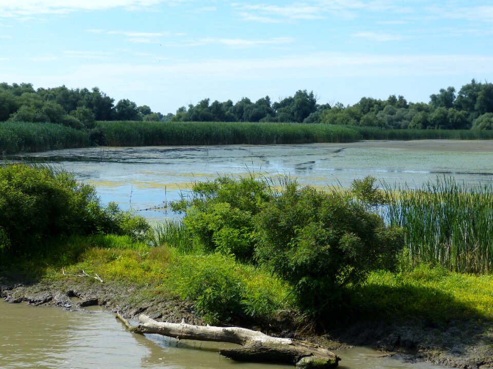 Tulcea south east europe nature