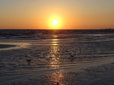 Summer gulf