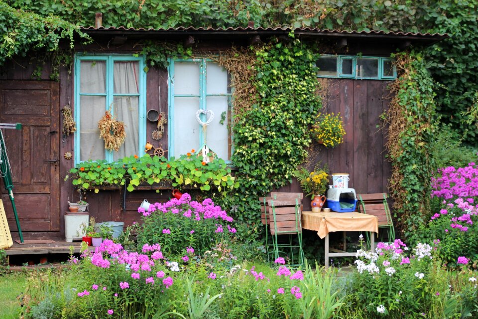Nature outdoors outside