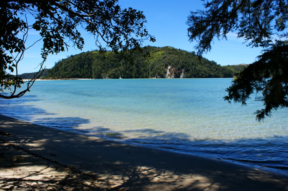 National park beach new zealand photo