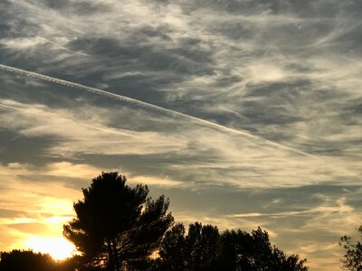 Cloud tree sky