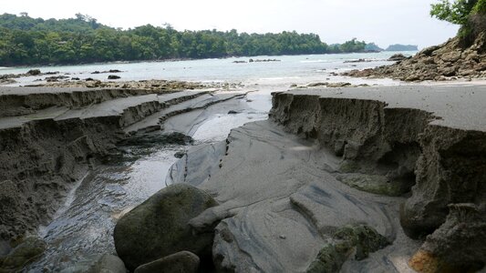 Manuel antonio costa rica rainforest photo