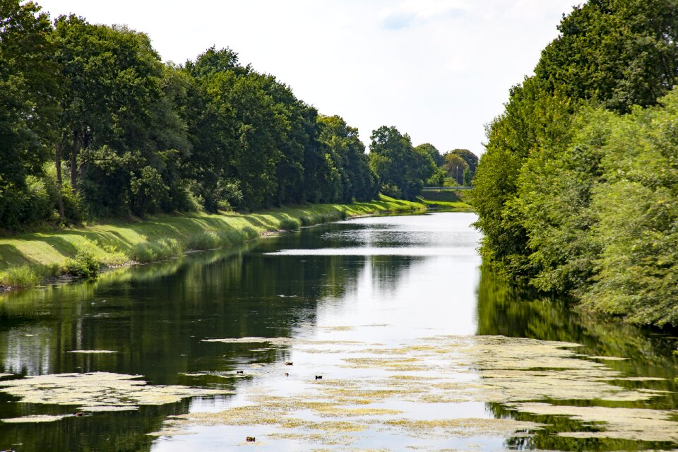 Landscape trees waterways