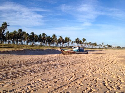 Coconut trees sand boat photo