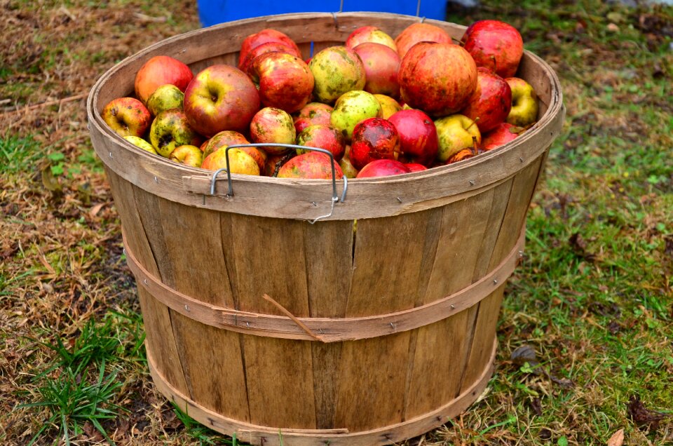 Apple pressing fruit healthy