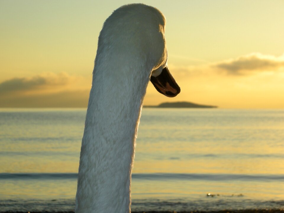 Lonely sea