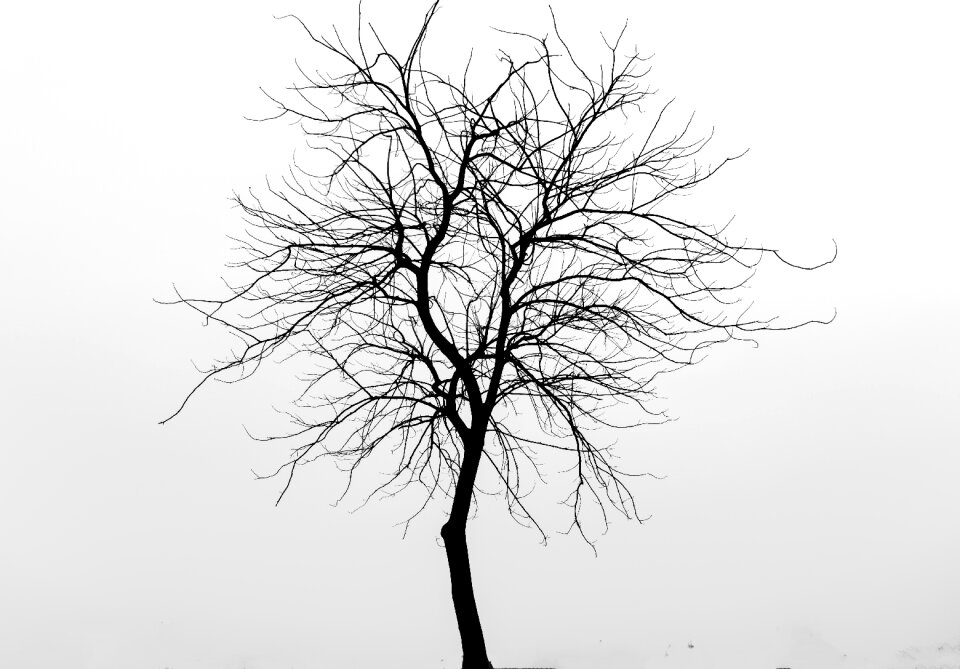 Design natural white