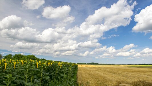 égkép agriculture region