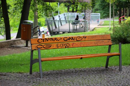 Park grass outdoors