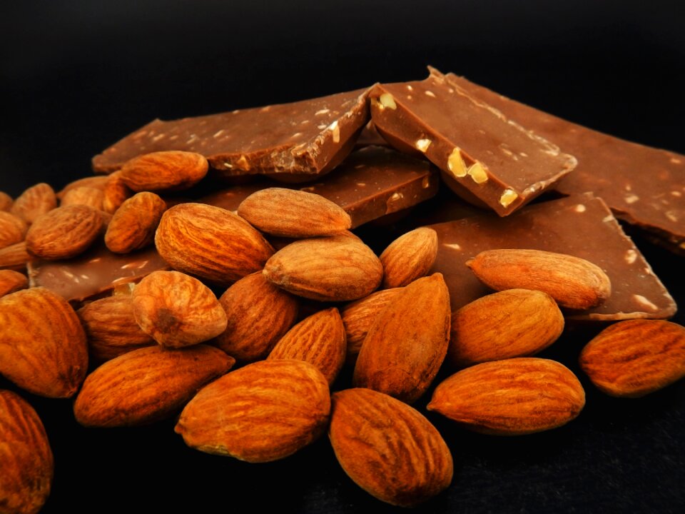 Hazelnut sweet cocoa