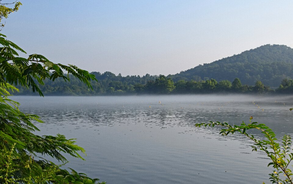 Rowing channels clinch river tennessee