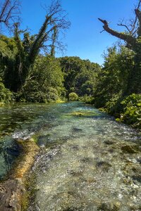 Syrie i cold water nature