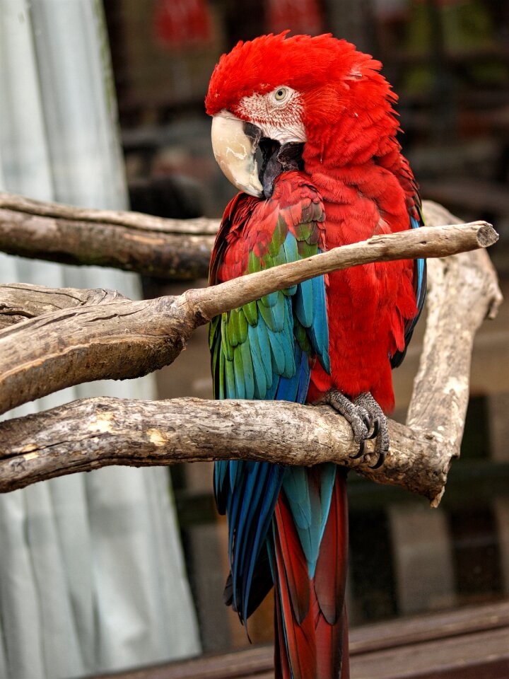 Nature funny wildlife