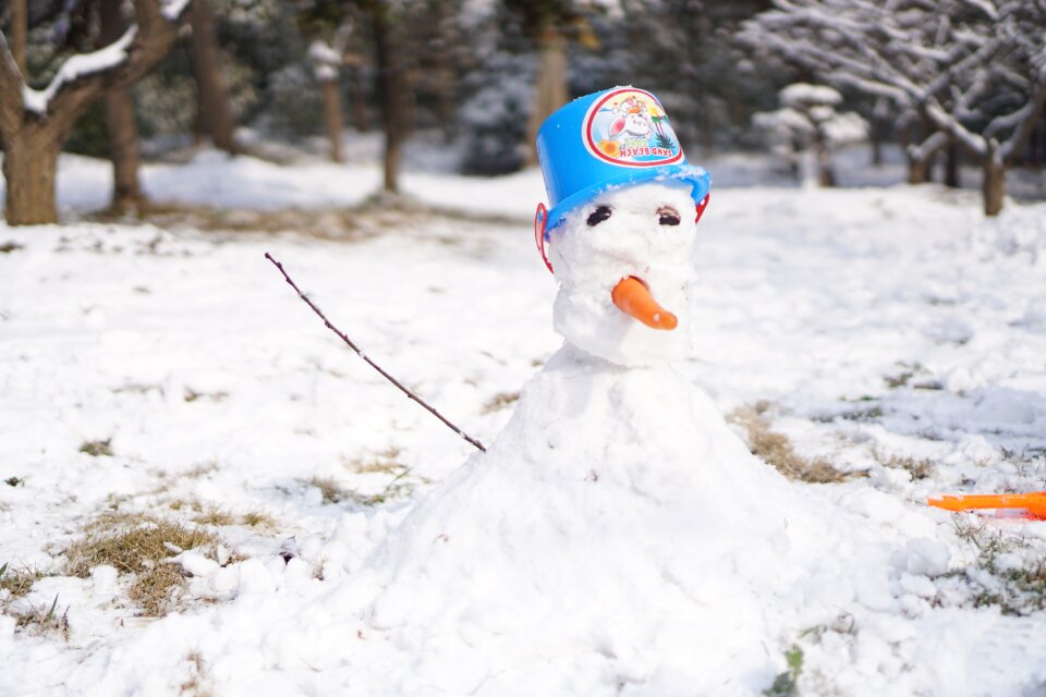 Snowman winter plum mountain