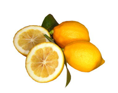 Healthy food cut