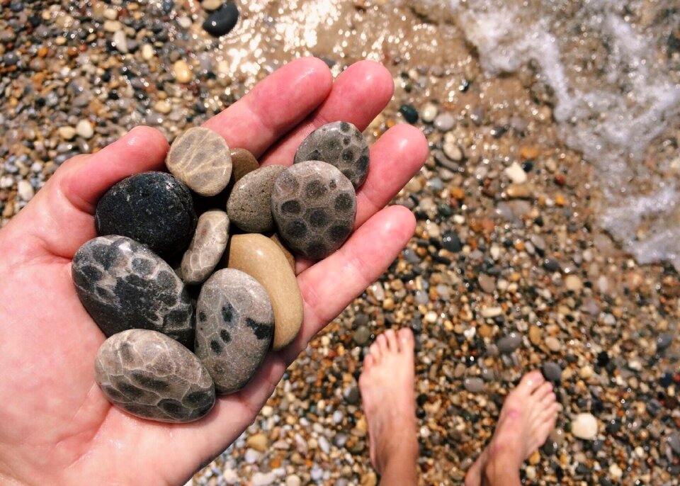 Stones petoskey stones