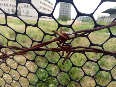 The net dandelion iron wire