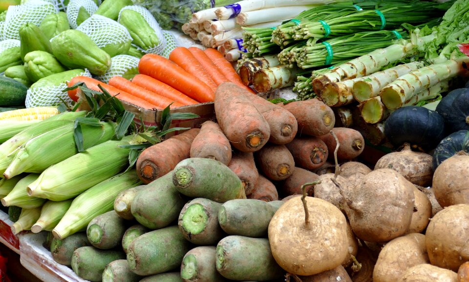 Healthy food mediterranean