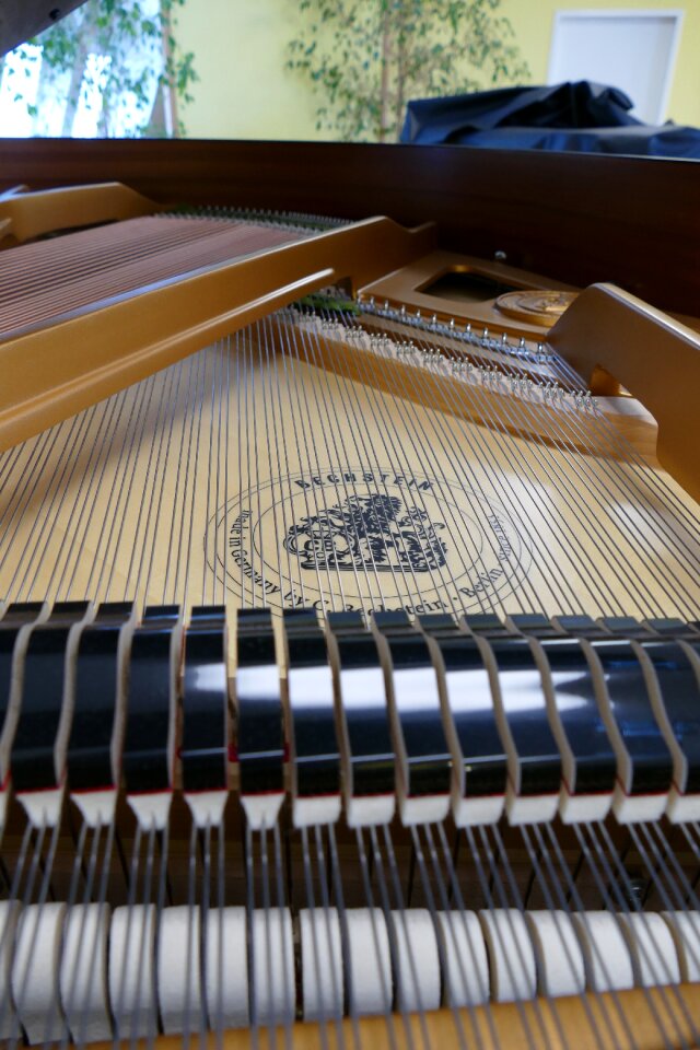 Piano bechstein grand piano