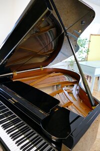 Piano bechstein grand piano photo