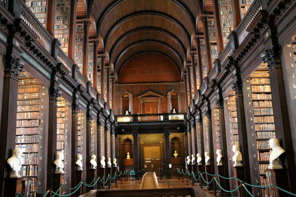 Dublin brown library