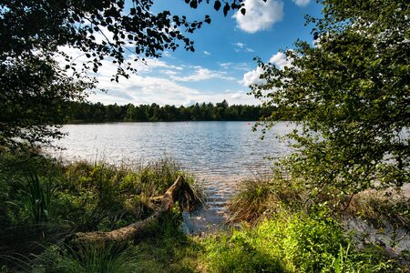 Lower saxony lake water photo