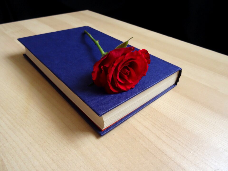 Vintage romance valentine