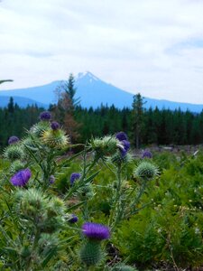 Southern oregon oregon nature