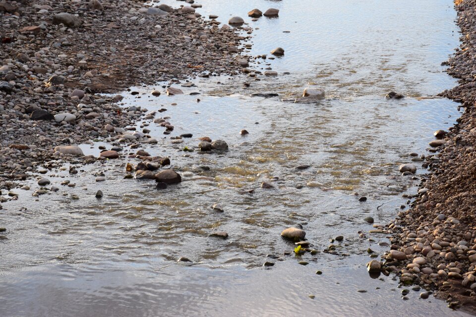 Scotland amateur shots 5